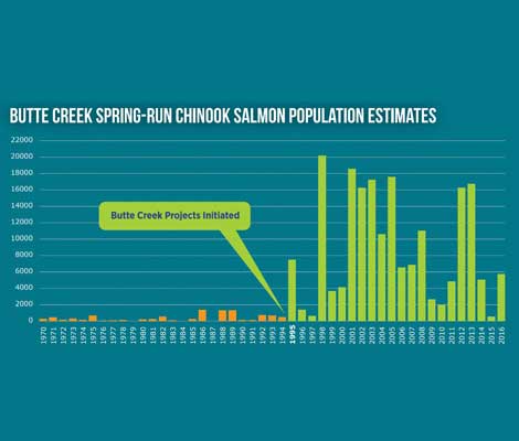 Graph depcting salmon population size over time